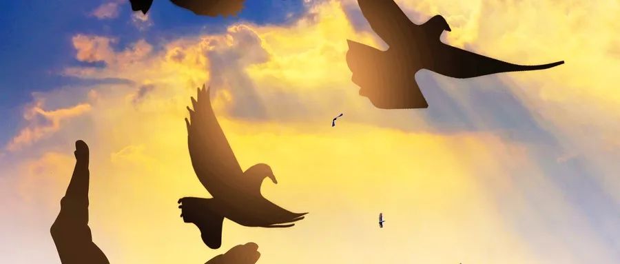 非全日制日常招黑，教育廳四大利好帶你重新認(rèn)識(shí)非全MBA！